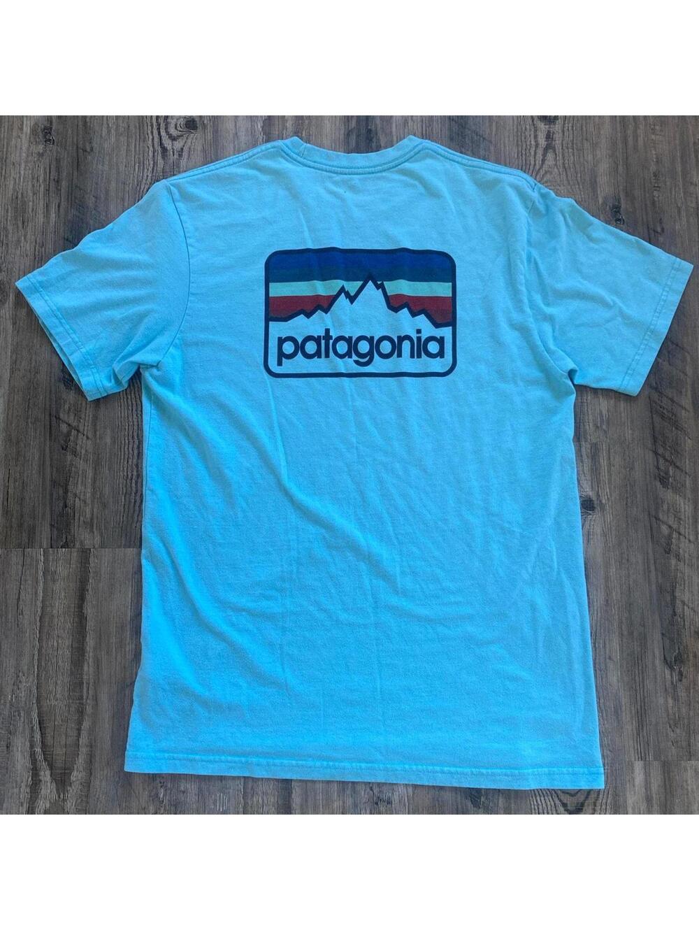 Teal Patagonia regular fit t shirt.